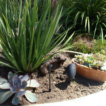 San Juan Capistrano 2012