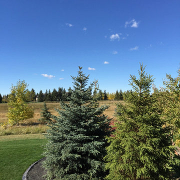 Heritage Pointe #12