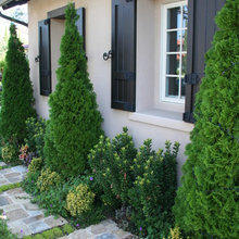 Exterior Ideas