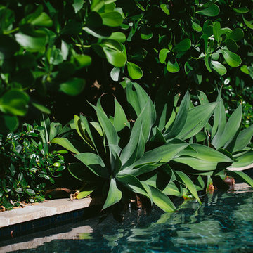 Tuscan Palm Beach