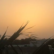 Muriel Riv's photo