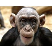 Shane Nelson's photo