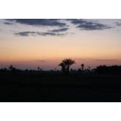 Ahmed Elsewedy's photo