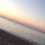 Connie Wheatley's photo