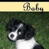 Amy Benson's photo