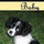 Amy Benson
