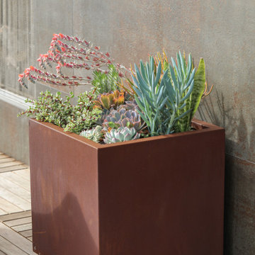 Modern Coast