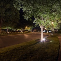 Outdoor Lighting in Westhave - Landscape Lighting