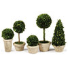 5-Piece Boxwood Topiaries Set With Pots