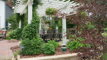 8 Climbing Vines for Your Pergola in Westerville, OH