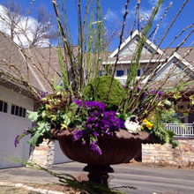 Spring Flower Pot Ideas