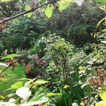 Woodland Edge Border, Surrey