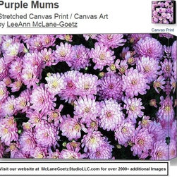 Wild Flowers - Products