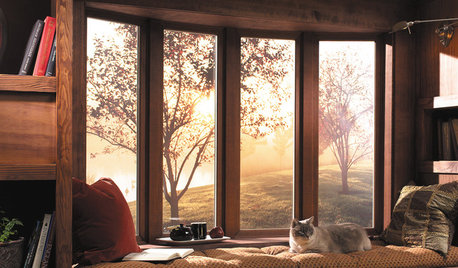 How to Install Energy-Efficient Windows