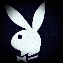 playboy shower curtain