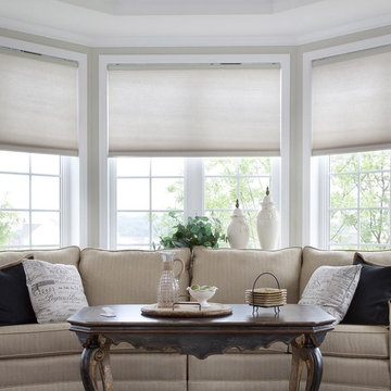 Lutron Shades