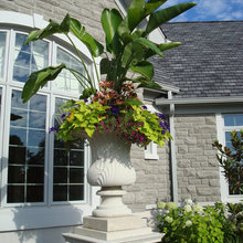 Pots And Planters