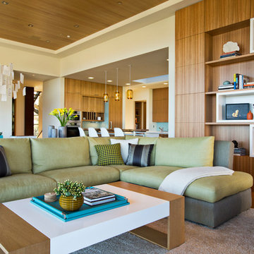 Saratoga Hilltop Contemporary