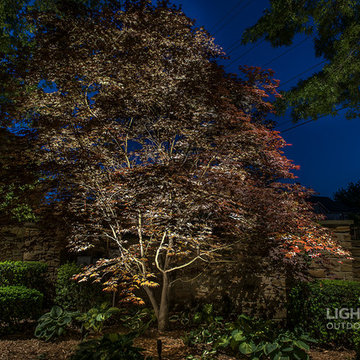 April 2016 Garden lighting