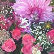 Marilyn Brenden's photo