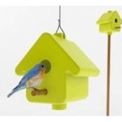 Robin Fondurulia's photo