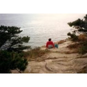 Diana Short's photo