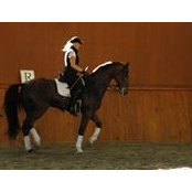 Shanon Rawlinson's photo