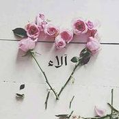 Alaa Jan's photo