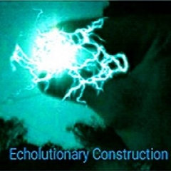 Echolutionary Construction