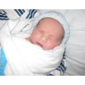 Dan Bauman's photo