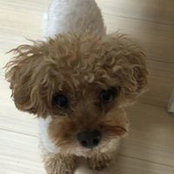 Kazue Kaneko's photo