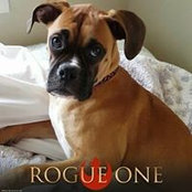 Kristi Montoya's photo