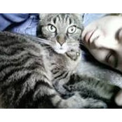 Roxane Giroux's photo