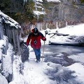 Mark Potter's photo