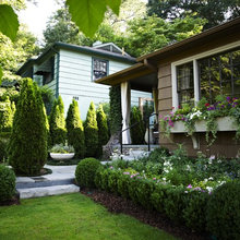 Landscape Ideas