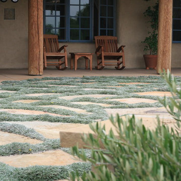Santa Ynez Organic Ranch
