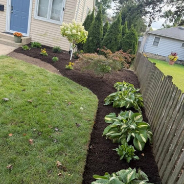 Garden Design & Clean Up