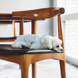 シック＆シンプルな犬用品 - 商品
