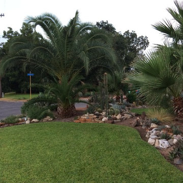 cactus & Succulent Gardens
