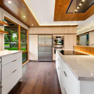 Level II 1960 Rejuvenation - Ground Floor Remodel