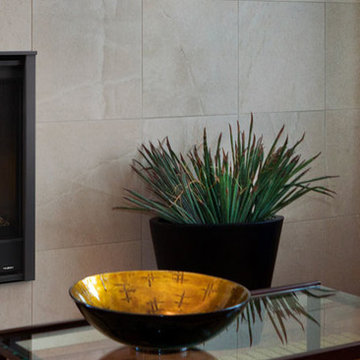 Caliber Modern Gas Fireplace Series