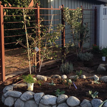 Landscape Design-Boulders