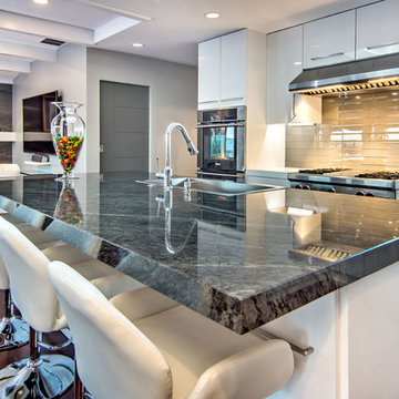 White High-Gloss Contemporary Kitchen