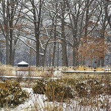 WINTER GARDEN