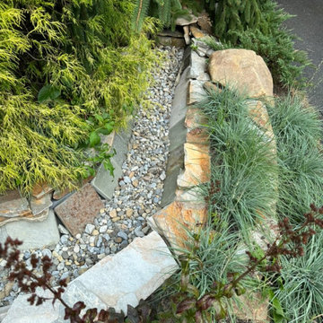 Water Management Habitat Rain Garden
