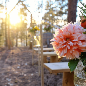 Wedding Design in the Forests of Chelan, WA