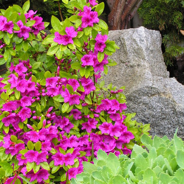 Landscaping and Maintenance