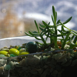 Micro-Gardens - Products