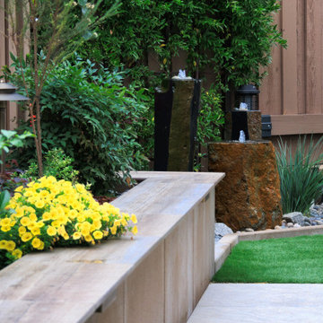 Small Backyard, Big Impact