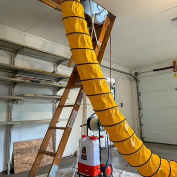 Mold Inspection in Eugene